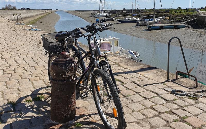 Noirmoutier à vélo
