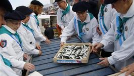 Arrivée de la sardine de printemps Saint Gilles Croix de Vie
