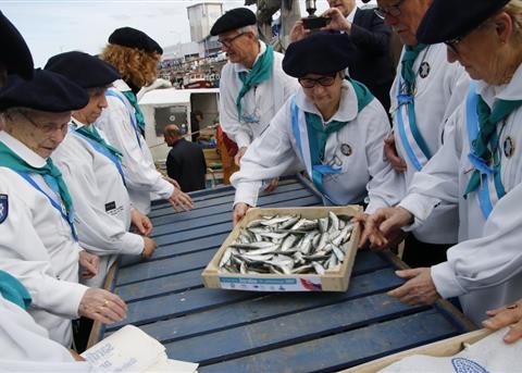 Arrivée de la sardine de printemps Saint Gilles Croix de Vie